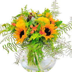 A cascade of sun-bathed beauty, this exuberant bouquet brings the glowing optimism of Westminster's open spaces indoors. Dominated by magnificent sunflowers with dark, chocolatey centers and luminous yellow petals, the arrangement instantly captures the feeling of an endless London summer. Closely clustered alongside, creamy yellow roses reveal intricate swirls of petals, mirroring the layered elegance of historic Westminster Abbey. Intertwined are glossy red hypericum berries, sparkling amidst a generous abundance of leaf-green foliage. Feathery fern fronds tumble over the edge, their texture light and free, paired with sprigs of delicate yellow blossoms-perhaps goldenrod-suggesting the wild meadows found in urban parks like St. John's Gardens. Wisps of blue-green eucalyptus weave through, lending a soft, calming undertone to the composition. All the flowers and foliage are arranged with intention in a clear, round glass vase; the water beneath glimmers in the natural light, and the visible stems crisscross like the intricate pathways of Westminster's hidden gardens. The scent is subtle yet uplifting: a blend of fresh-cut greens and the golden sweetness of late-summer blooms. This bouquet is ideal for Westminster celebrations-birthdays, anniversaries, or thoughtful gestures of friendship-crafted to radiate joy and sophistication from the heart of the city.